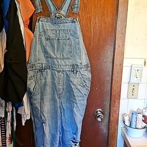 Wild Fable distressed overalls